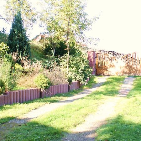 Ferienhaus Harzblick Güntersberge Esterno foto