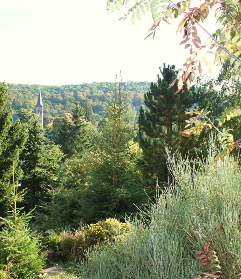 Ferienhaus Harzblick Güntersberge Esterno foto