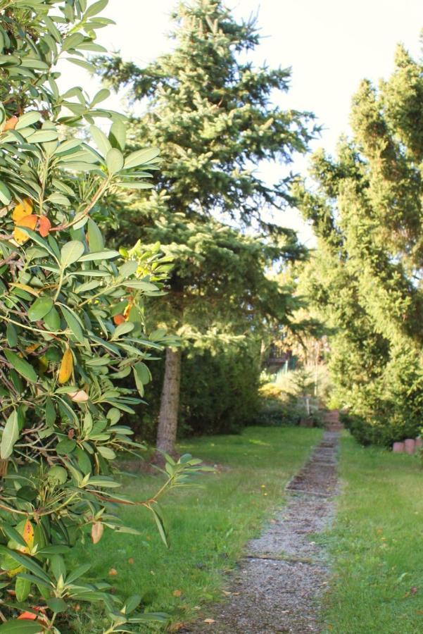 Ferienhaus Harzblick Güntersberge Esterno foto