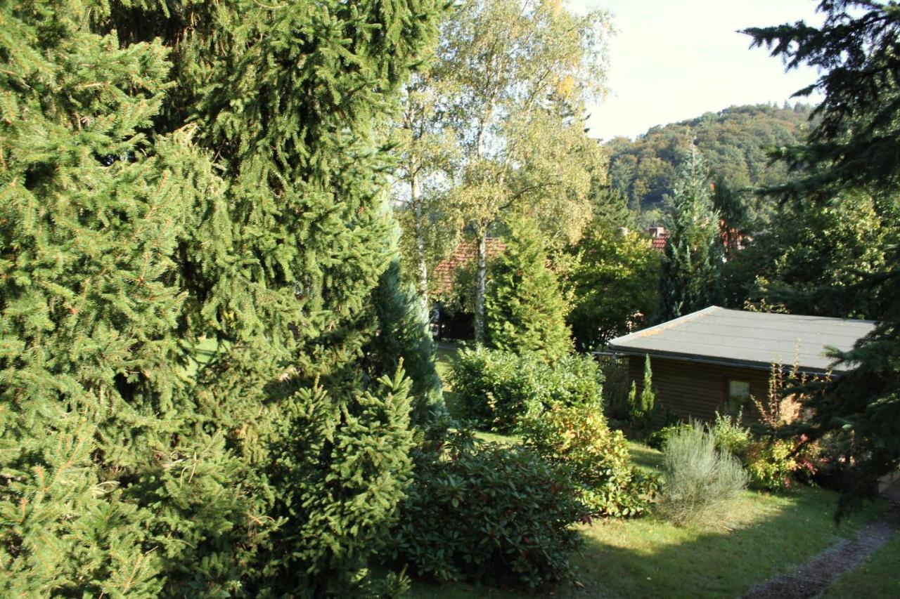 Ferienhaus Harzblick Güntersberge Esterno foto