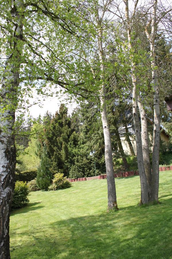 Ferienhaus Harzblick Güntersberge Esterno foto
